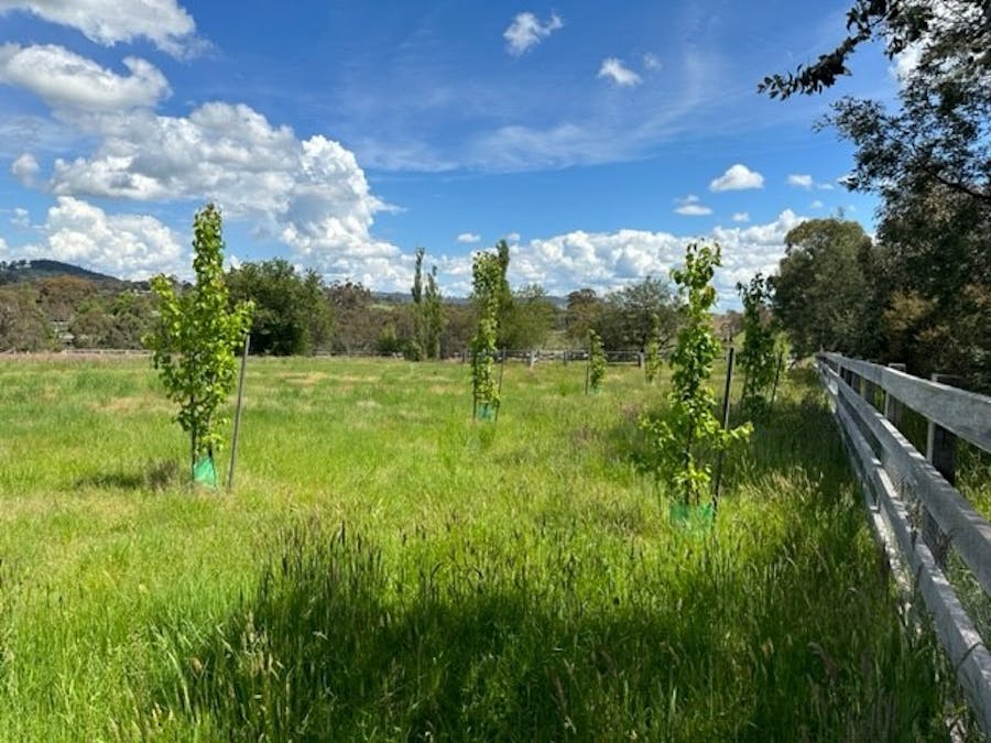 2171 Euroa -Strathbogie Road, Strathbogie, VIC, 3666 - Image 6
