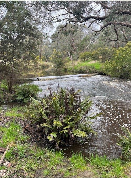 2171 Euroa -Strathbogie Road, Strathbogie, VIC, 3666 - Image 8