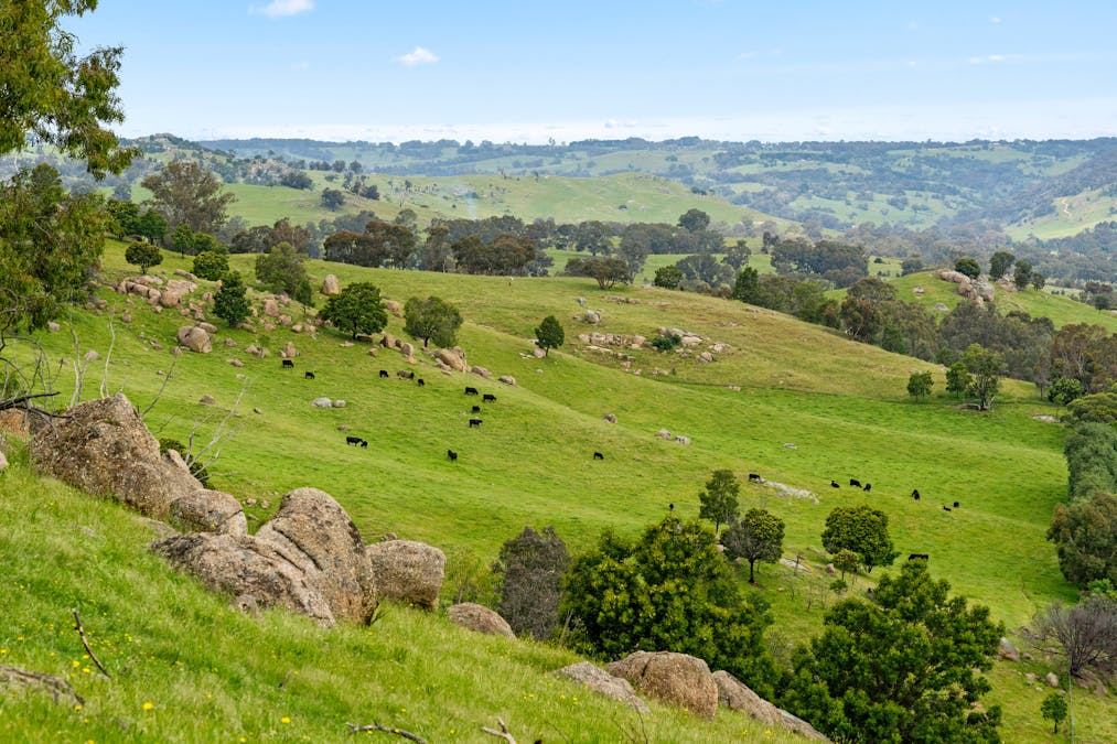 1135 Creighton's Creek Road, Creightons Creek, VIC, 3666 - Image 3