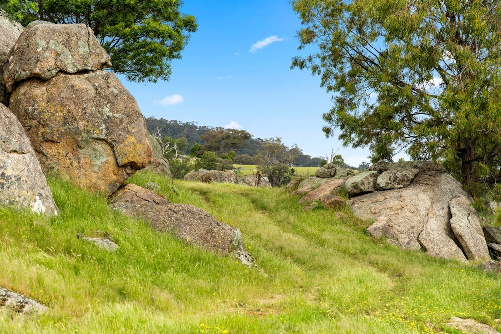 1135 Creighton's Creek Road, Creightons Creek, VIC, 3666 - Image 10