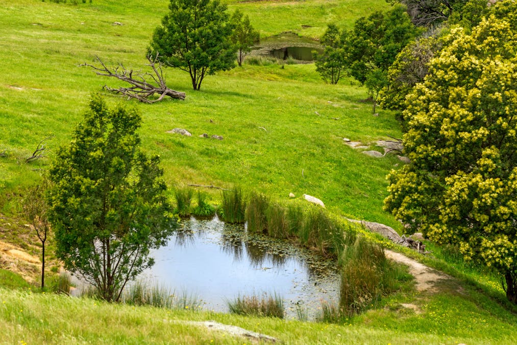 1135 Creighton's Creek Road, Creightons Creek, VIC, 3666 - Image 12