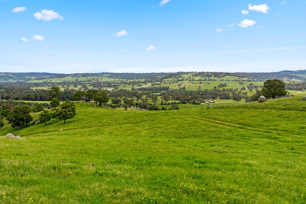 1135 Creighton's Creek Road, Creightons Creek, VIC, 3666 - Image 15