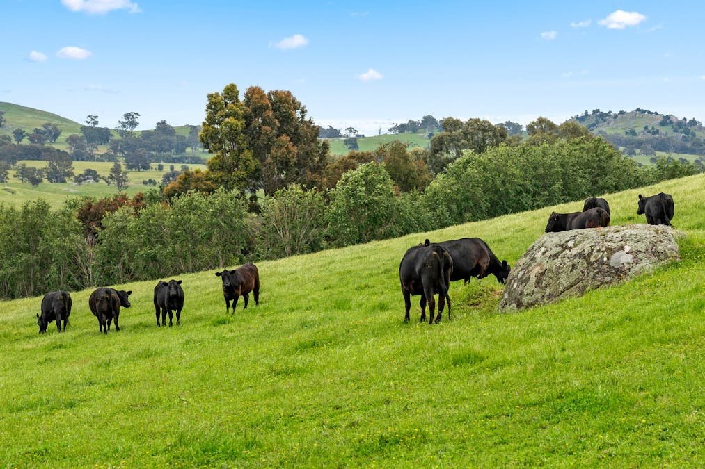 1135 Creighton's Creek Road, Creightons Creek, VIC, 3666 - Image 18