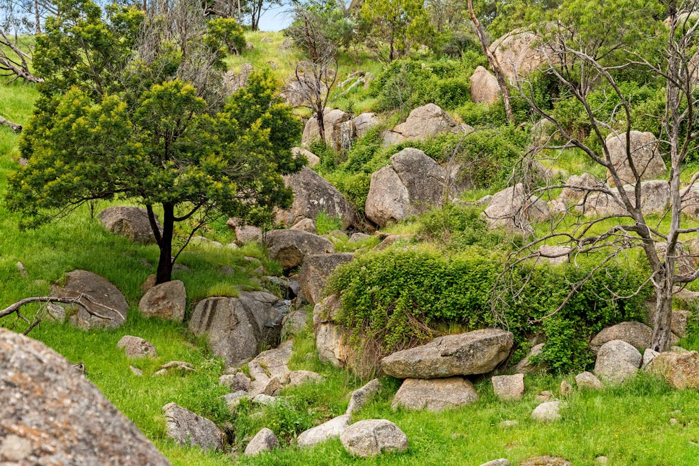 1135 Creighton's Creek Road, Creightons Creek, VIC, 3666 - Image 20