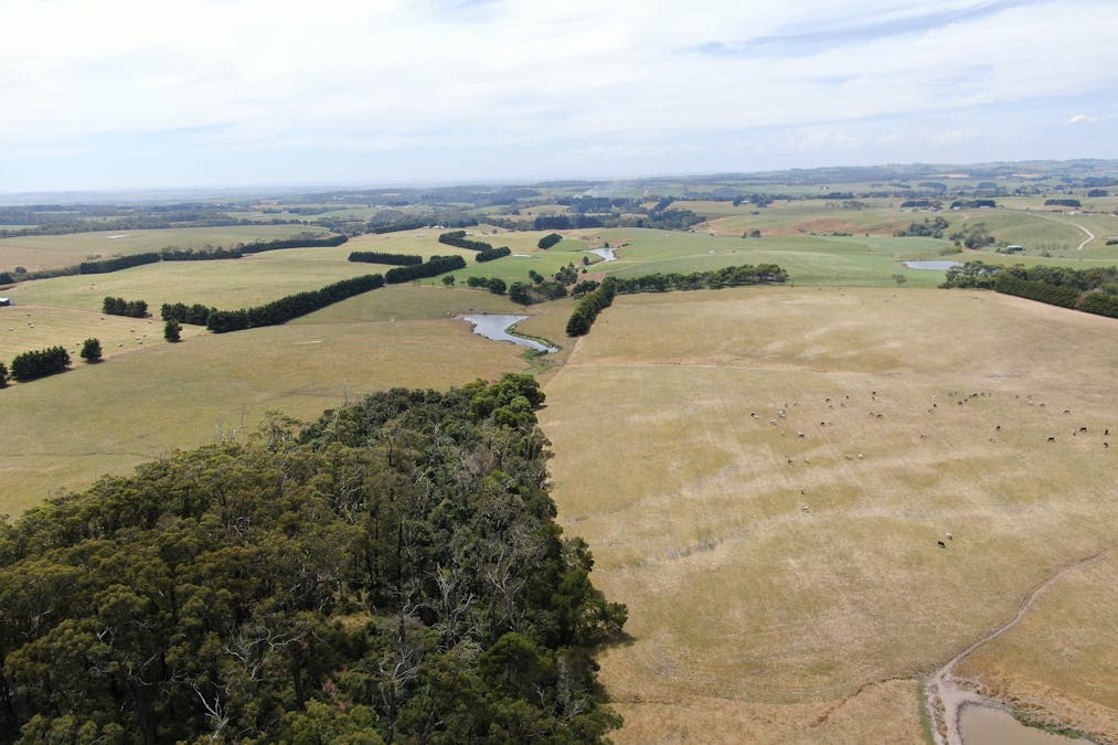 230 Evans Road, Fish Creek, VIC, 3959 - Image 5