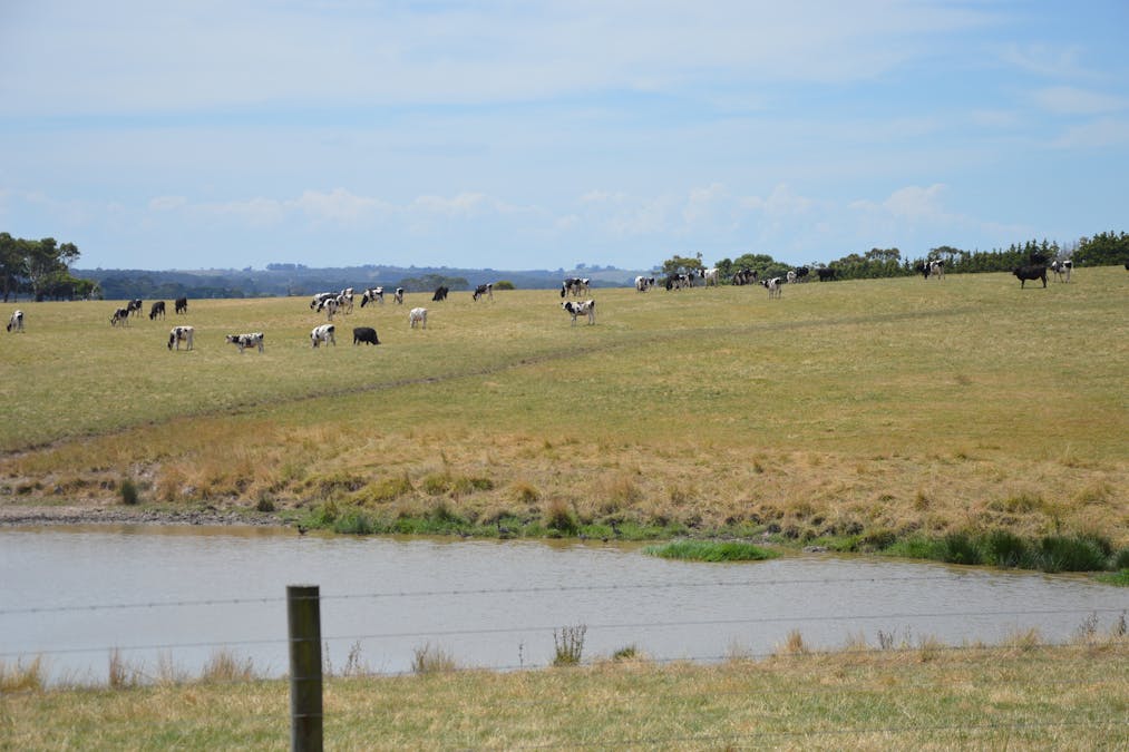 230 Evans Road, Fish Creek, VIC, 3959 - Image 13