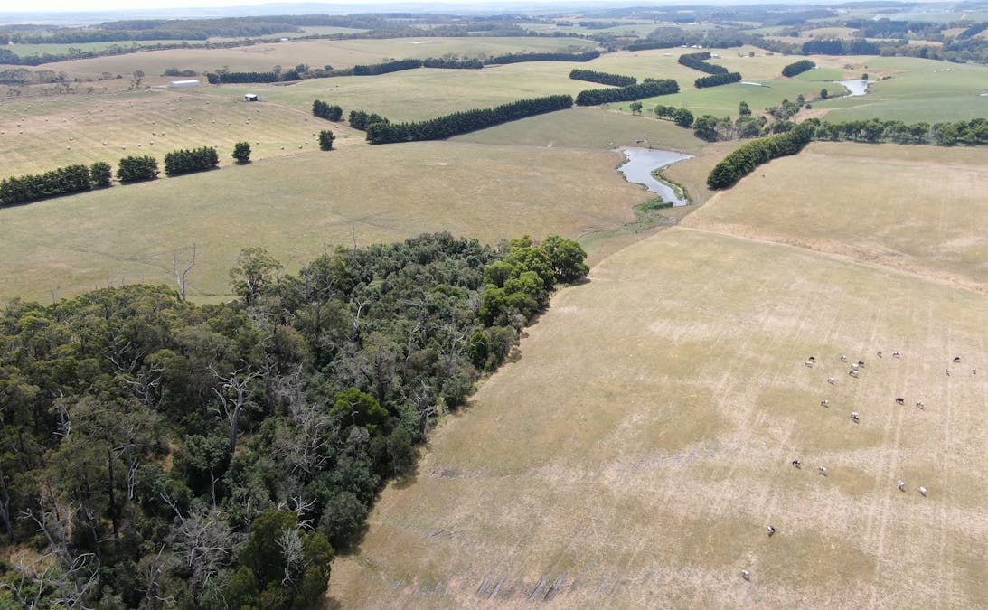 230 Evans Road, Fish Creek, VIC, 3959 - Image 21