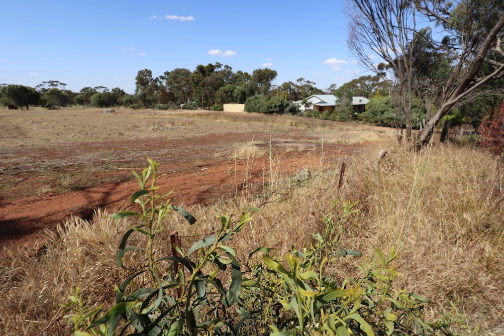 34 Brundell Street, Cuballing, WA, 6311 - Image 3