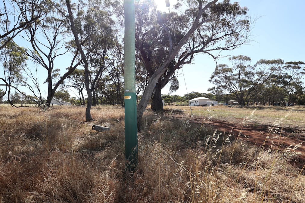 34 Brundell Street, Cuballing, WA, 6311 - Image 9