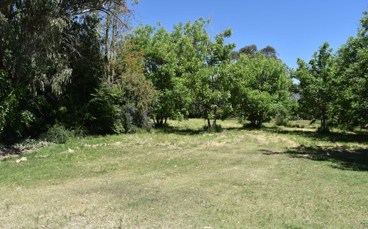 21 Riverview Terrace, Goondiwindi, QLD, 4390 - Image 1