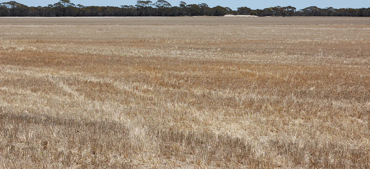 Grass Patch West Road, Grass Patch, WA, 6446 - Image 2