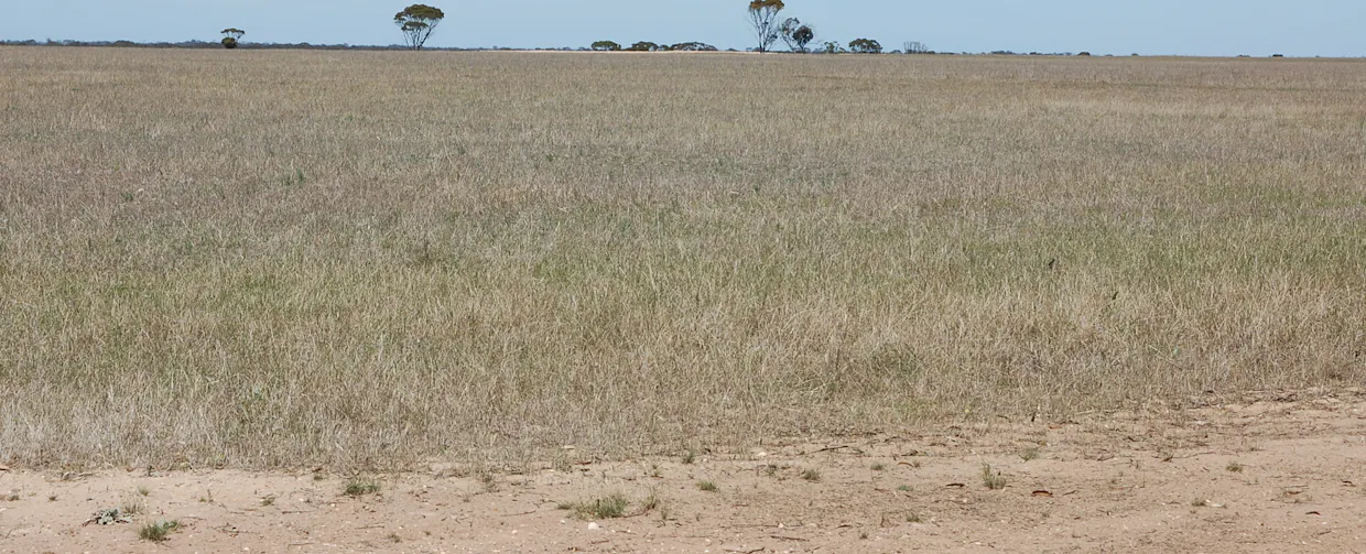 Grass Patch West Road, Grass Patch, WA, 6446 - Image 4