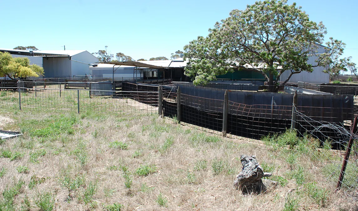 Grass Patch West Road, Grass Patch, WA, 6446 - Image 6