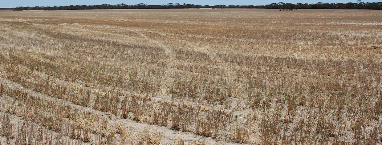 Grass Patch West Road, Grass Patch, WA, 6446 - Image 8