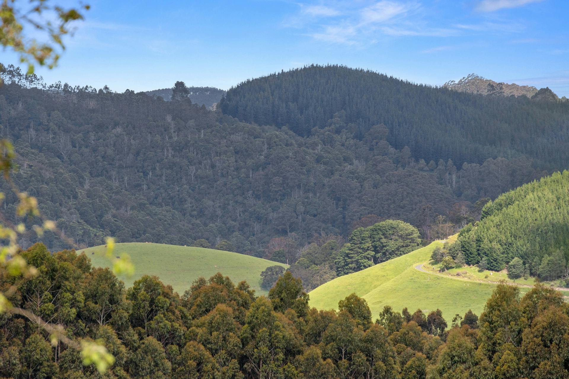 40 Livingston Road, Boolarra South, VIC, 3870 Under Contract Elders