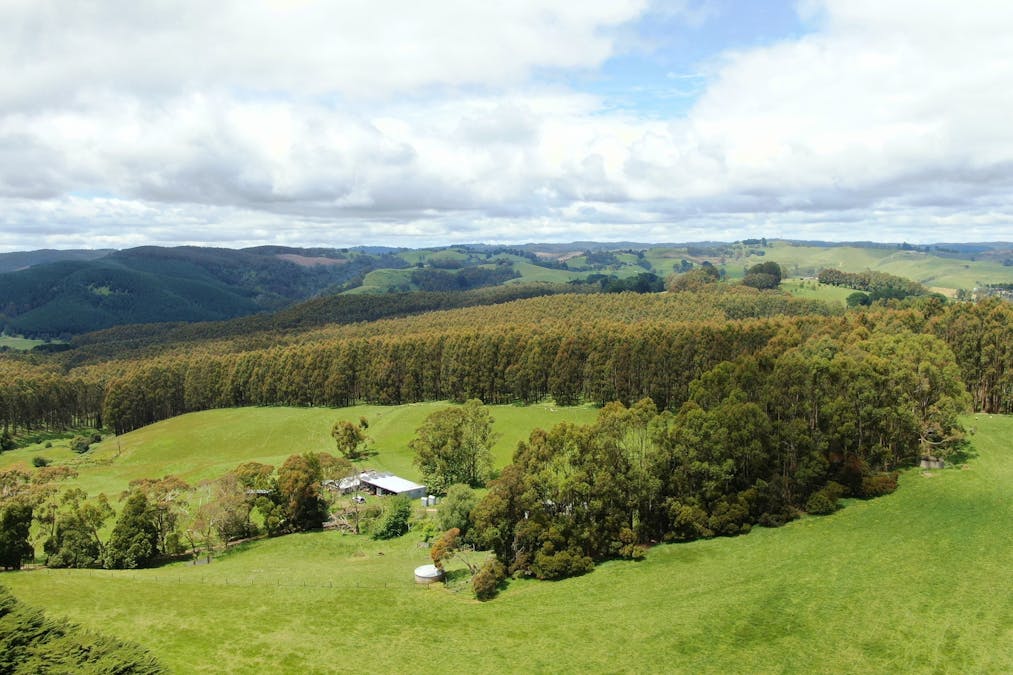 40 Livingston Road, Boolarra South, VIC, 3870 For Sale Elders Real