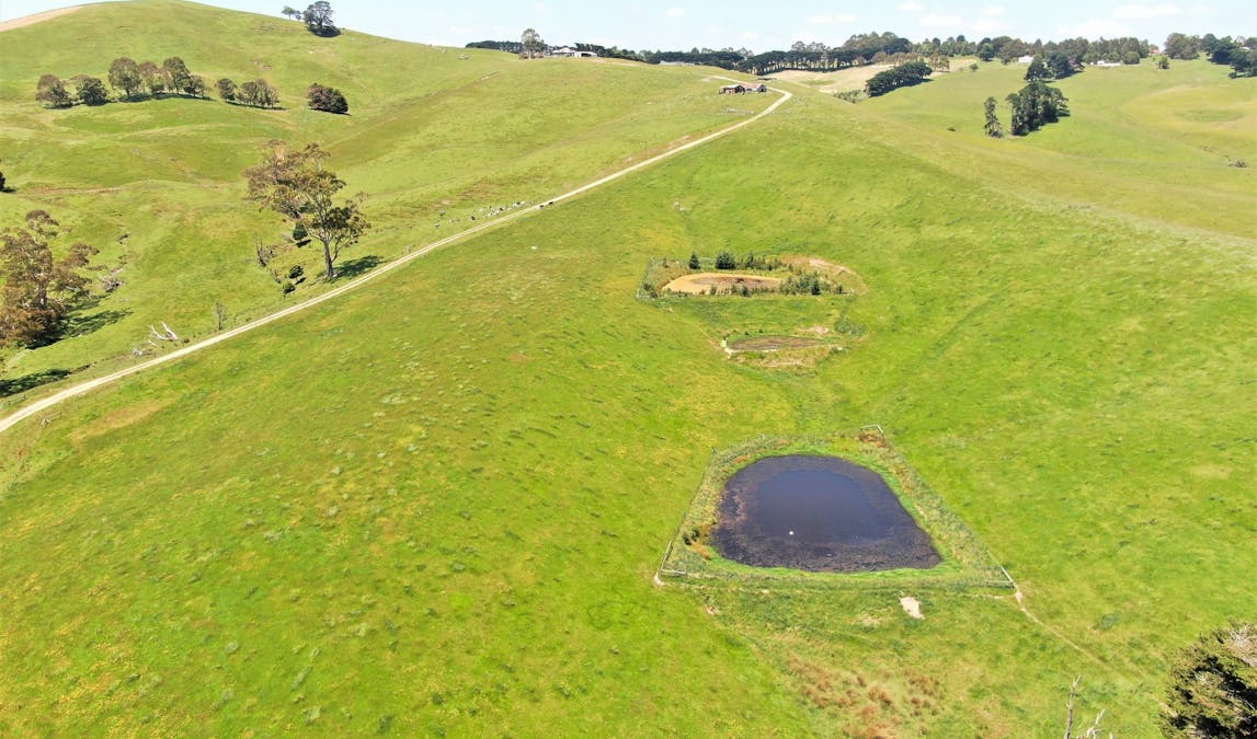 790 Bena-Kongwak Road, Bena, VIC, 3946 - Image 11