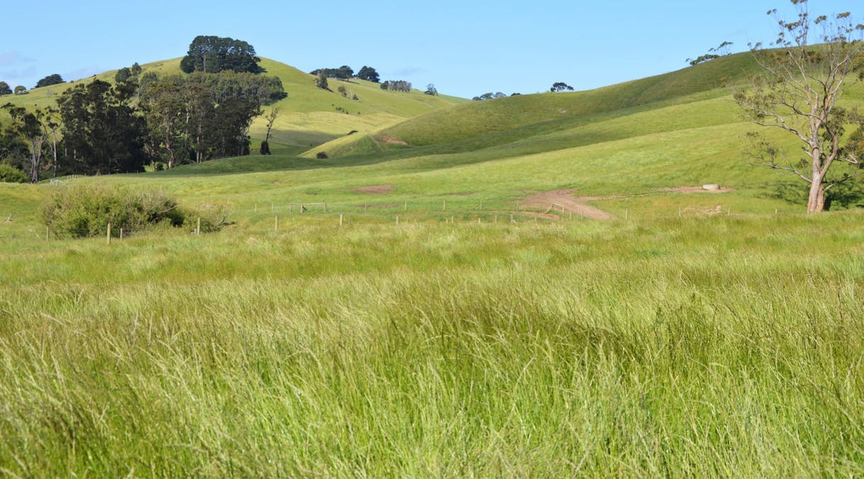 790 Bena-Kongwak Road, Bena, VIC, 3946 - Image 2