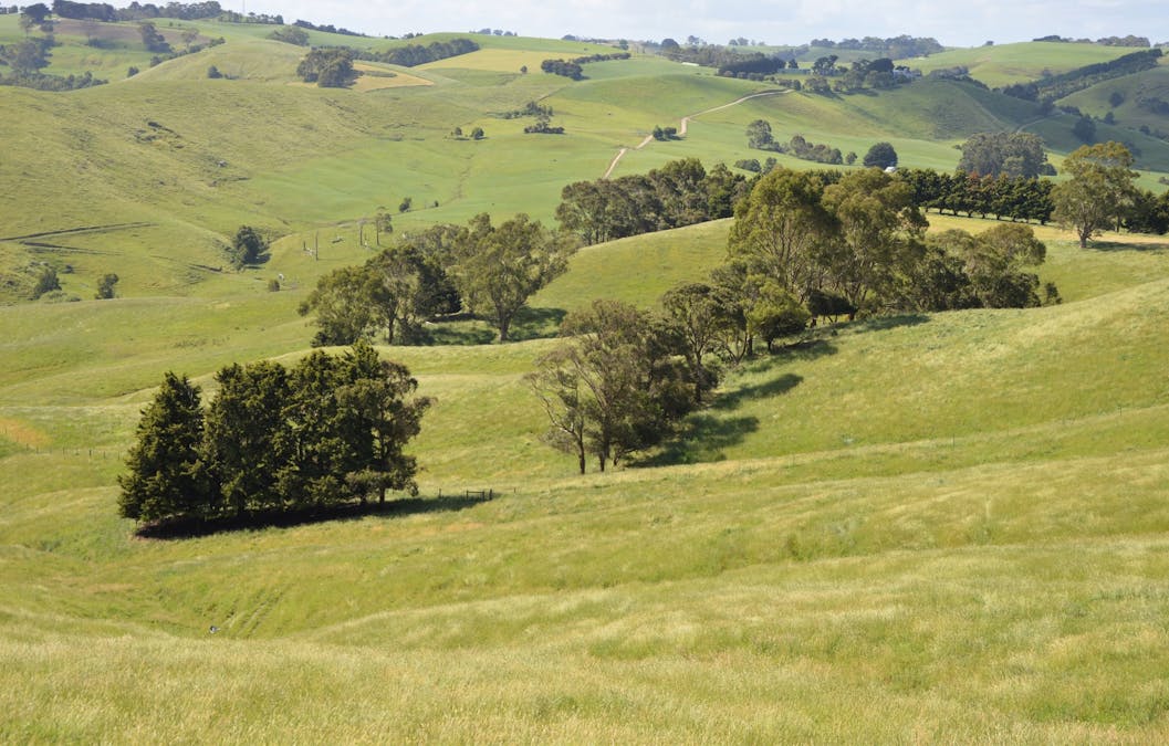 790 Bena-Kongwak Road, Bena, VIC, 3946 - Image 16