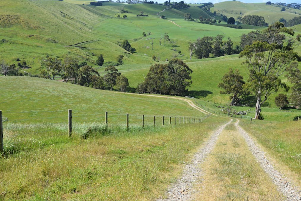 790 Bena-Kongwak Road, Bena, VIC, 3946 - Image 6