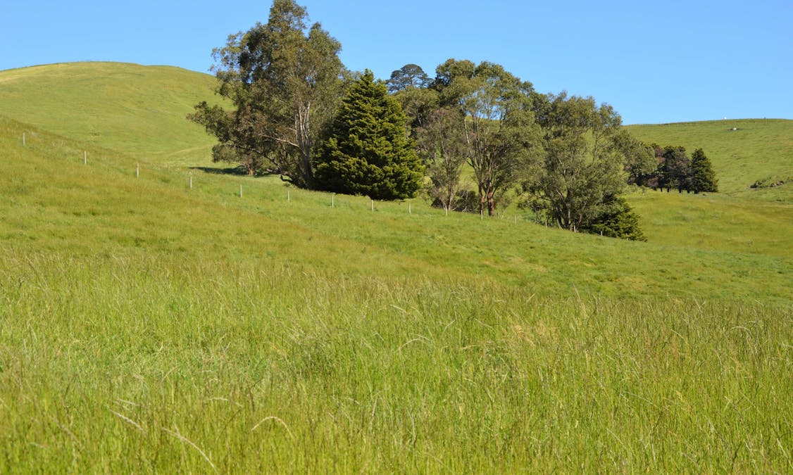 790 Bena-Kongwak Road, Bena, VIC, 3946 - Image 15