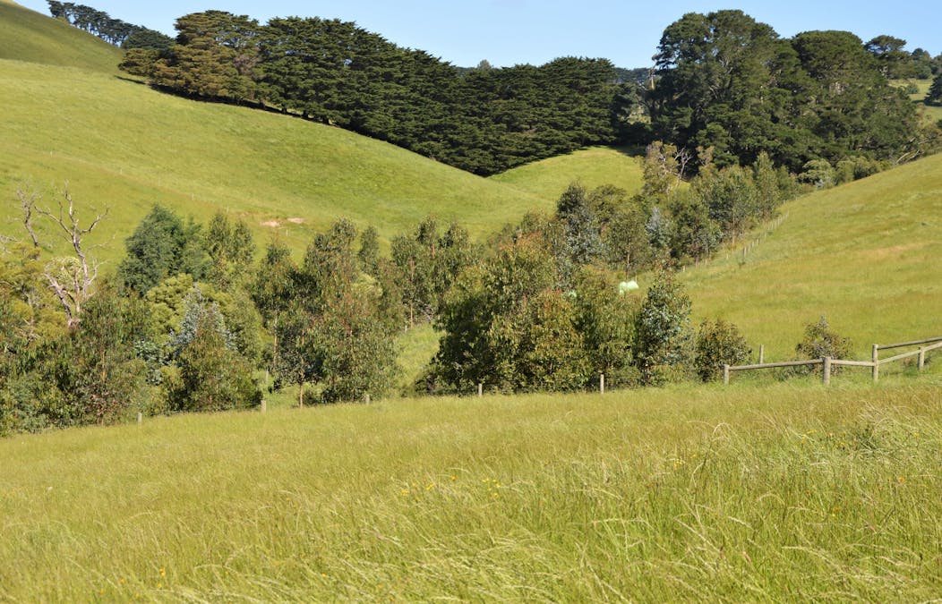 790 Bena-Kongwak Road, Bena, VIC, 3946 - Image 17