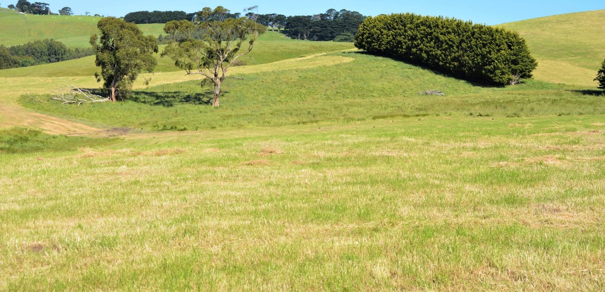 790 Bena-Kongwak Road, Bena, VIC, 3946 - Image 18
