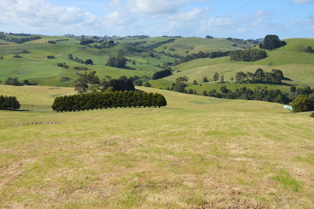790 Bena-Kongwak Road, Bena, VIC, 3946 - Image 19