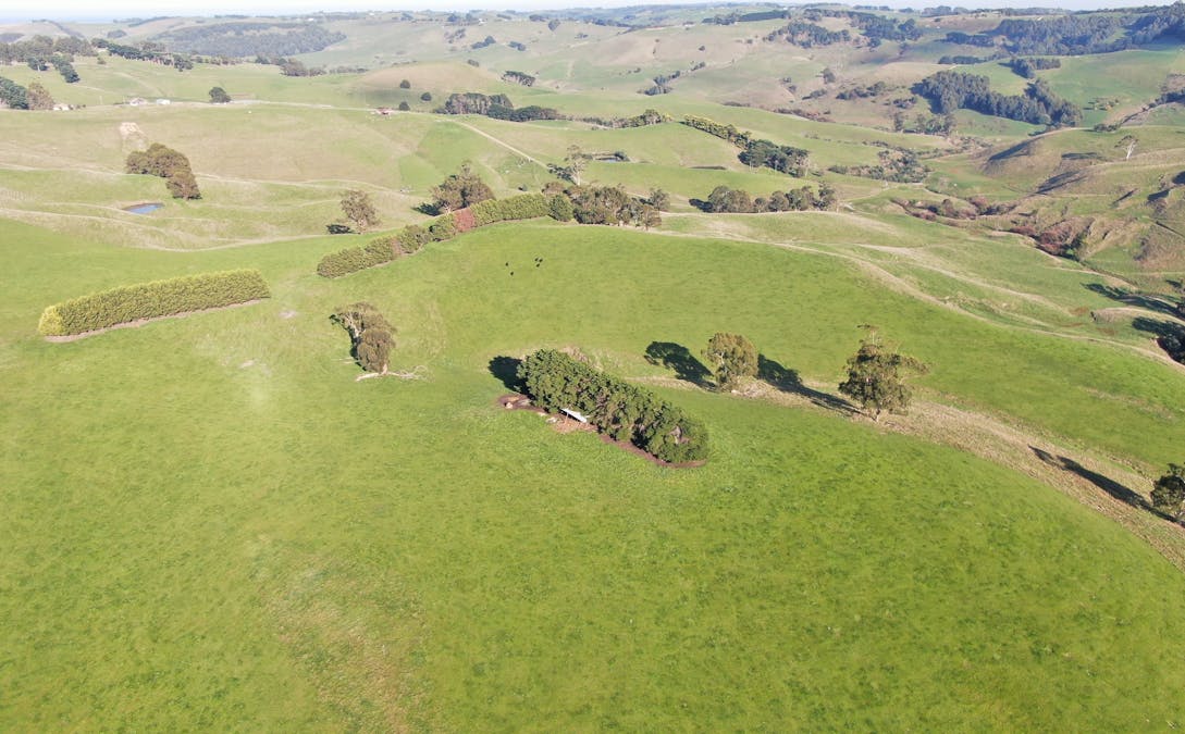 790 Bena-Kongwak Road, Bena, VIC, 3946 - Image 22