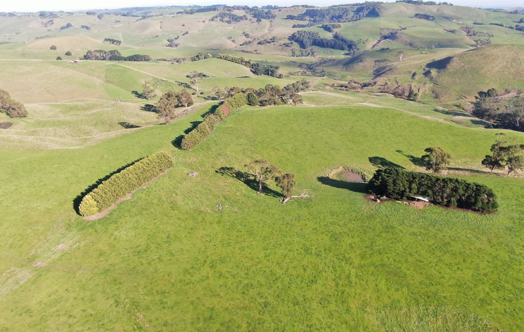 790 Bena-Kongwak Road, Bena, VIC, 3946 - Image 23