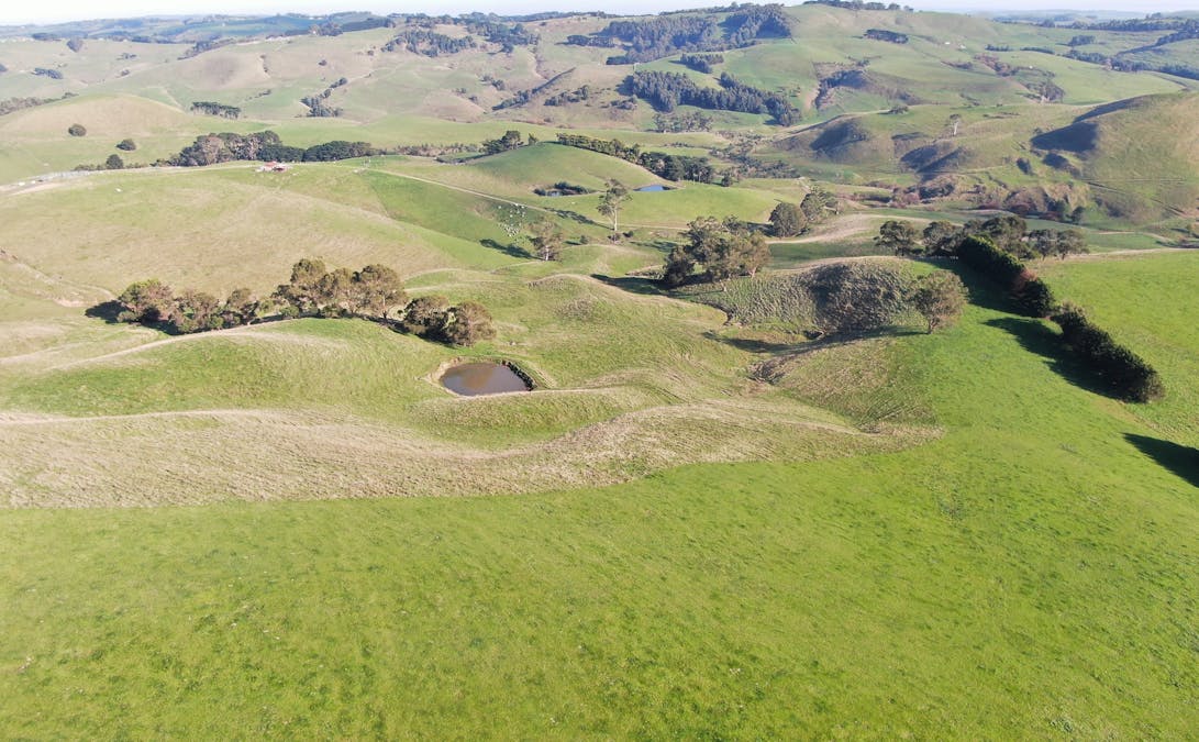 790 Bena-Kongwak Road, Bena, VIC, 3946 - Image 24