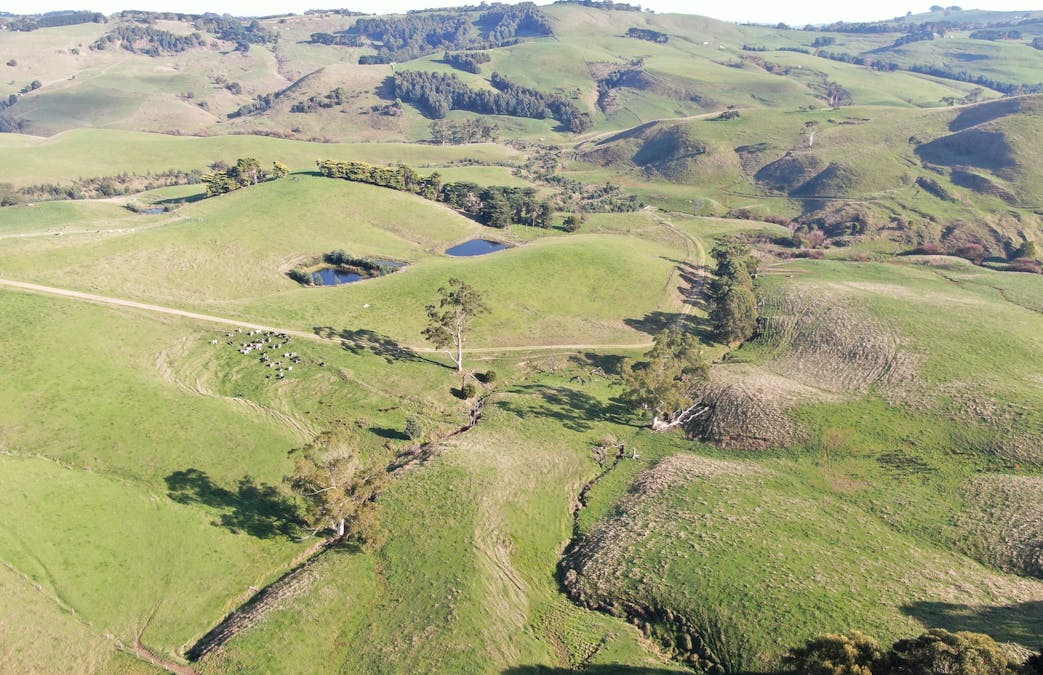 790 Bena-Kongwak Road, Bena, VIC, 3946 - Image 25