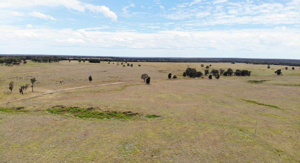 1347 Acres | Cattle Property , Chinchilla, QLD, 4413 - Image 6
