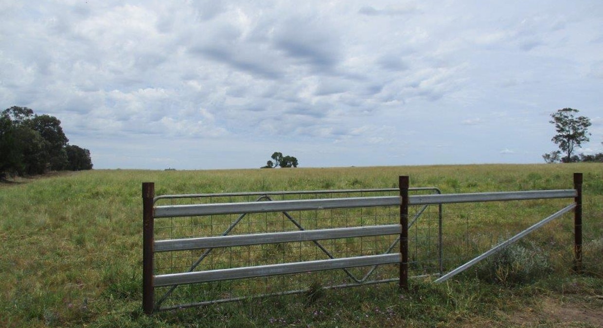 1347 Acres | Cattle Property , Chinchilla, QLD, 4413 - Image 4
