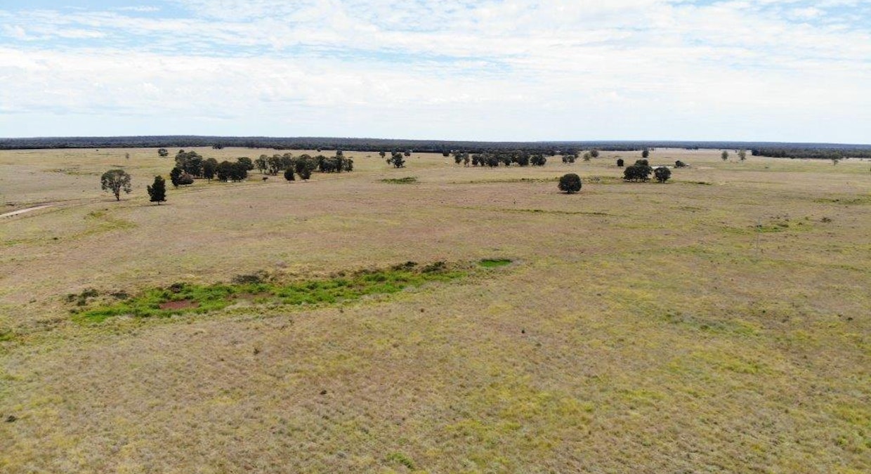 1347 Acres | Cattle Property , Chinchilla, QLD, 4413 - Image 10