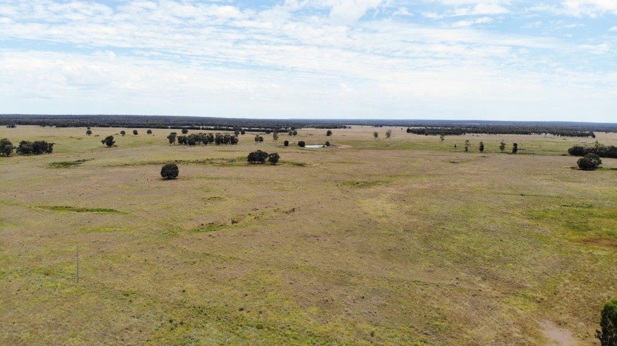 1347 Acres | Cattle Property , Chinchilla, QLD, 4413 - Image 11