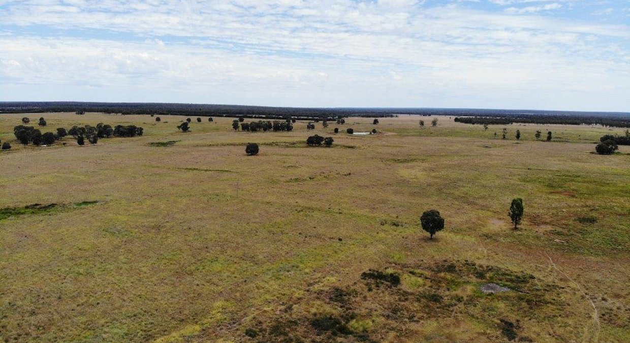 1347 Acres | Cattle Property , Chinchilla, QLD, 4413 - Image 12