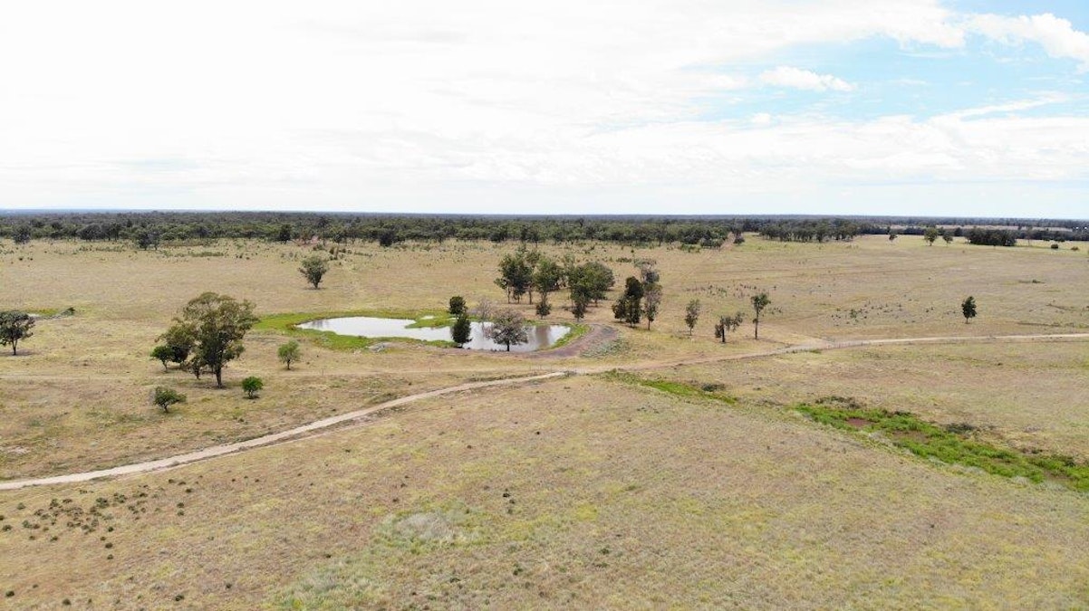 1347 Acres | Cattle Property , Chinchilla, QLD, 4413 - Image 13