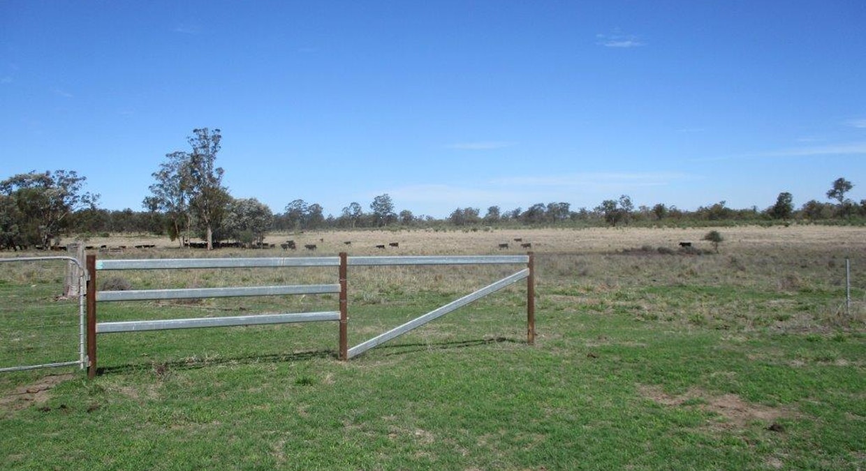 1347 Acres | Cattle Property , Chinchilla, QLD, 4413 - Image 15