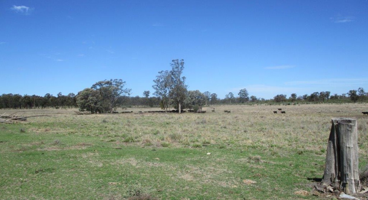 1347 Acres | Cattle Property , Chinchilla, QLD, 4413 - Image 16