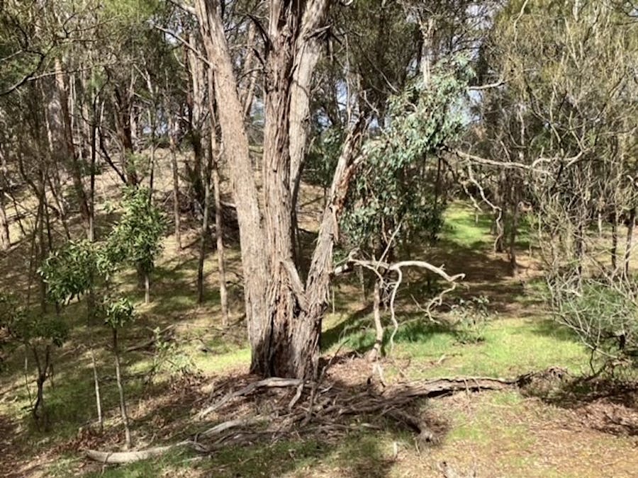 Lot 2/35 Haddon Common Road, Haddon, VIC, 3351 - Image 23
