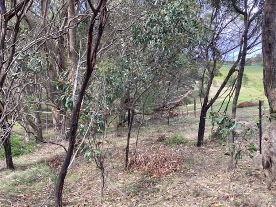 Lot 2/35 Haddon Common Road, Haddon, VIC, 3351 - Image 24