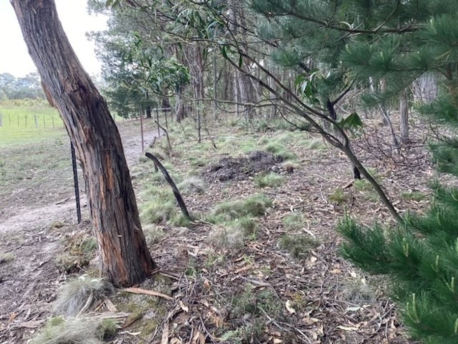Lot 2/35 Haddon Common Road, Haddon, VIC, 3351 - Image 25