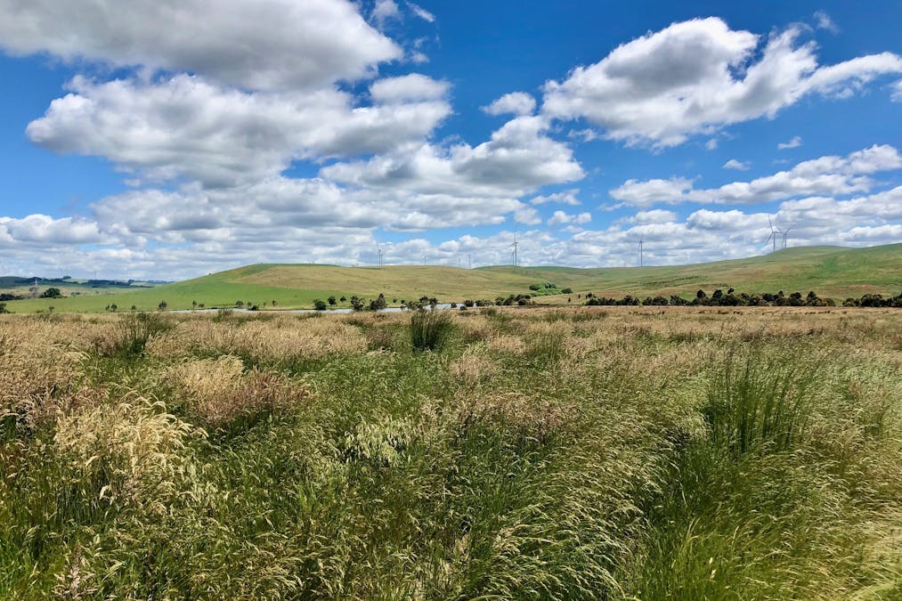 316 St Stephens Road, Goulburn, NSW, 2580 - Image 12