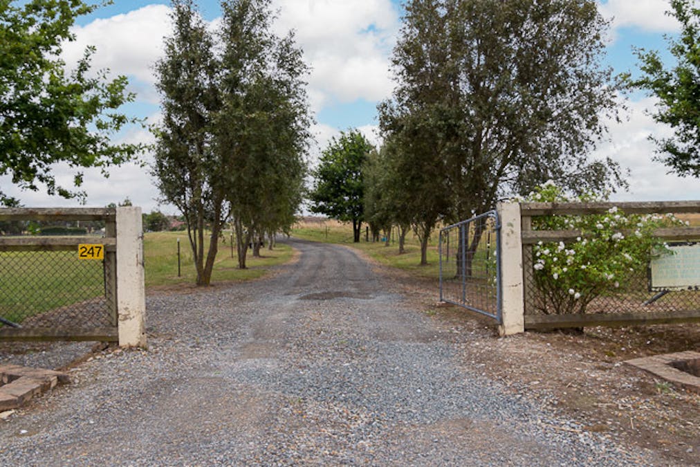 247 Mountain Ash Road, Goulburn, NSW, 2580 - Image 18