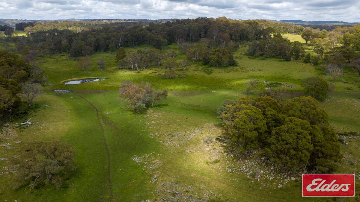1705 Mount Mitchell Road, Glencoe, NSW, 2365 - Image 2