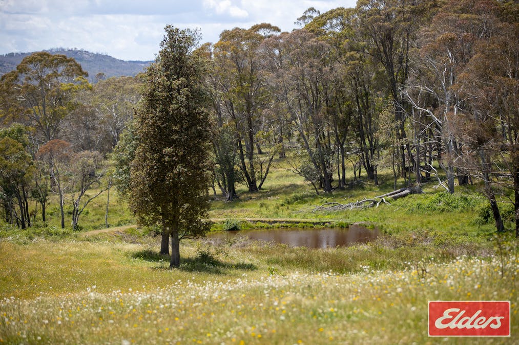 1705 Mount Mitchell Road, Glencoe, NSW, 2365 - Image 19