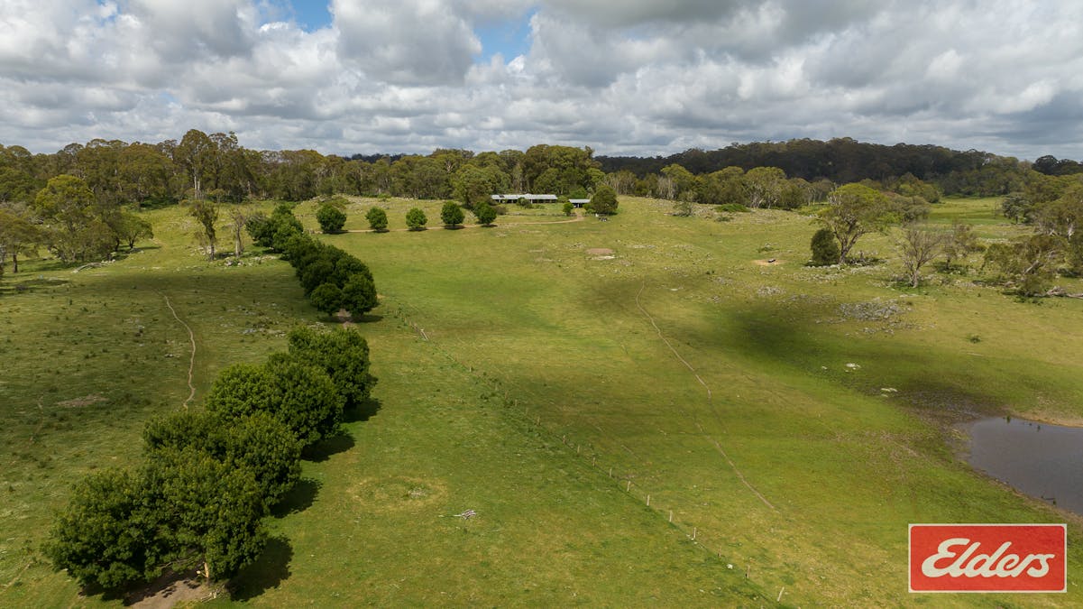 1705 Mount Mitchell Road, Glencoe, NSW, 2365 - Image 3