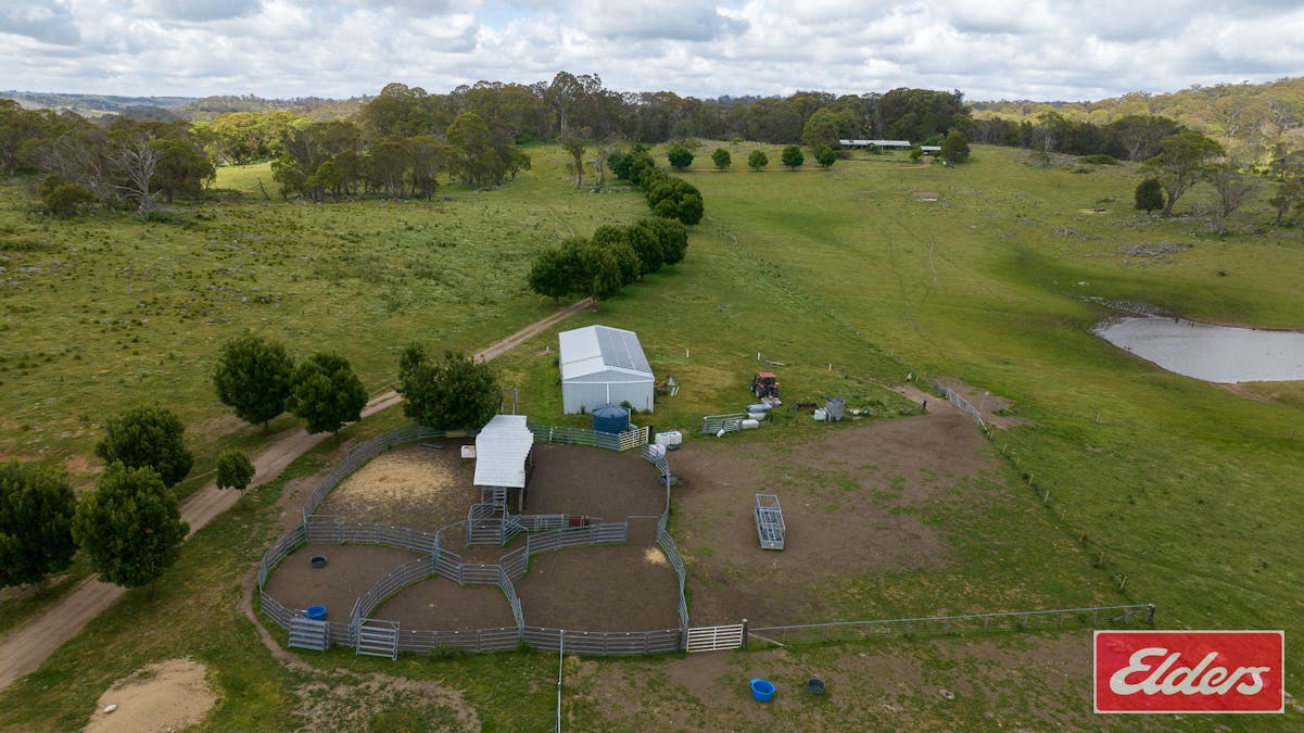 1705 Mount Mitchell Road, Glencoe, NSW, 2365 - Image 24