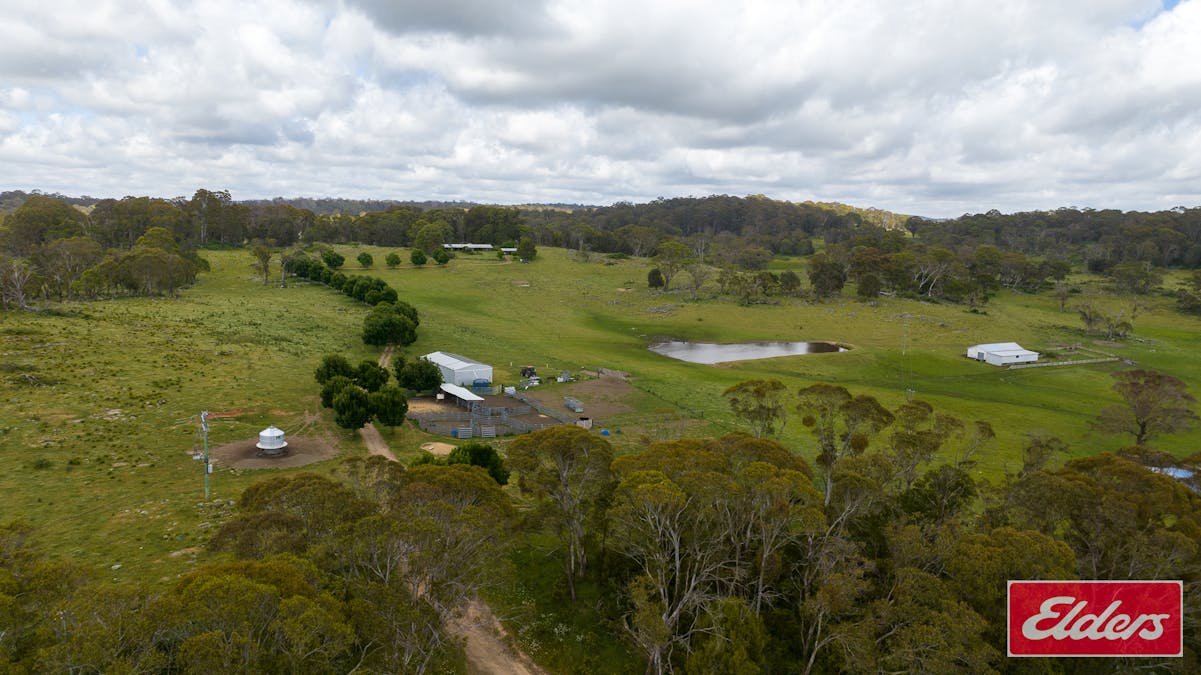 1705 Mount Mitchell Road, Glencoe, NSW, 2365 - Image 23